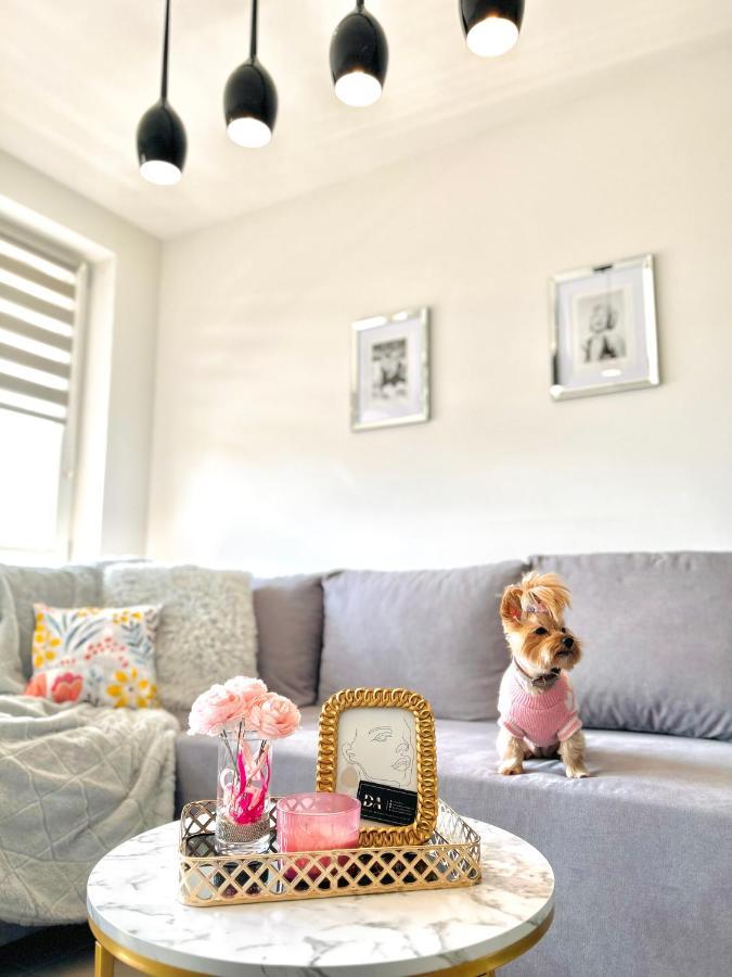 Downtown Apartments Family&Friends Rzeszow Bagian luar foto