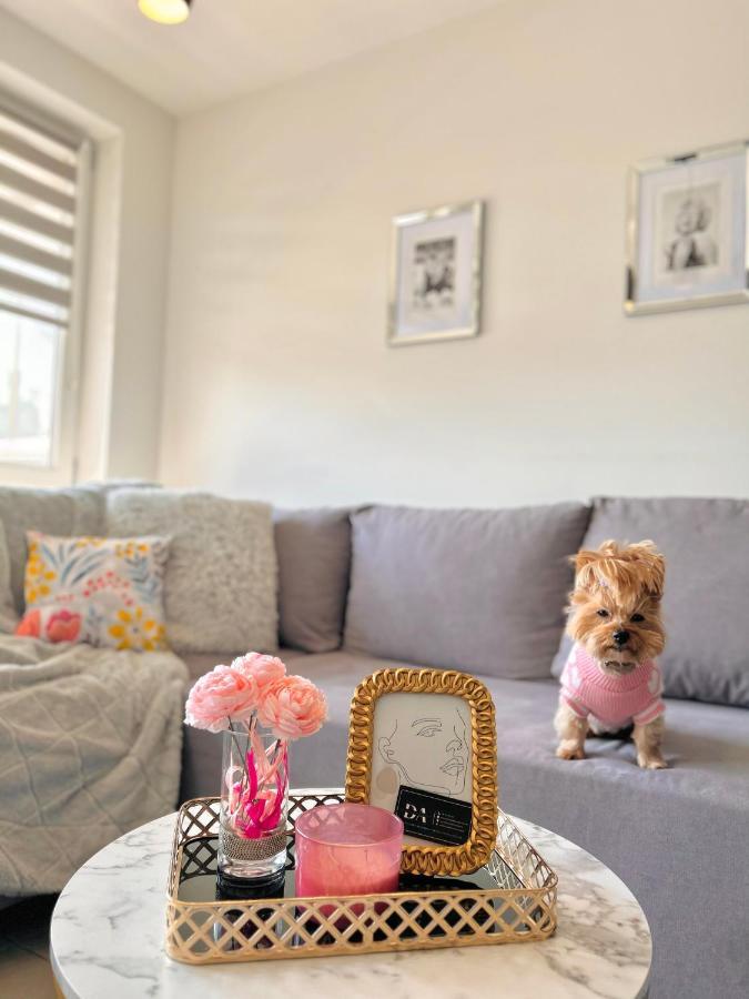 Downtown Apartments Family&Friends Rzeszow Bagian luar foto