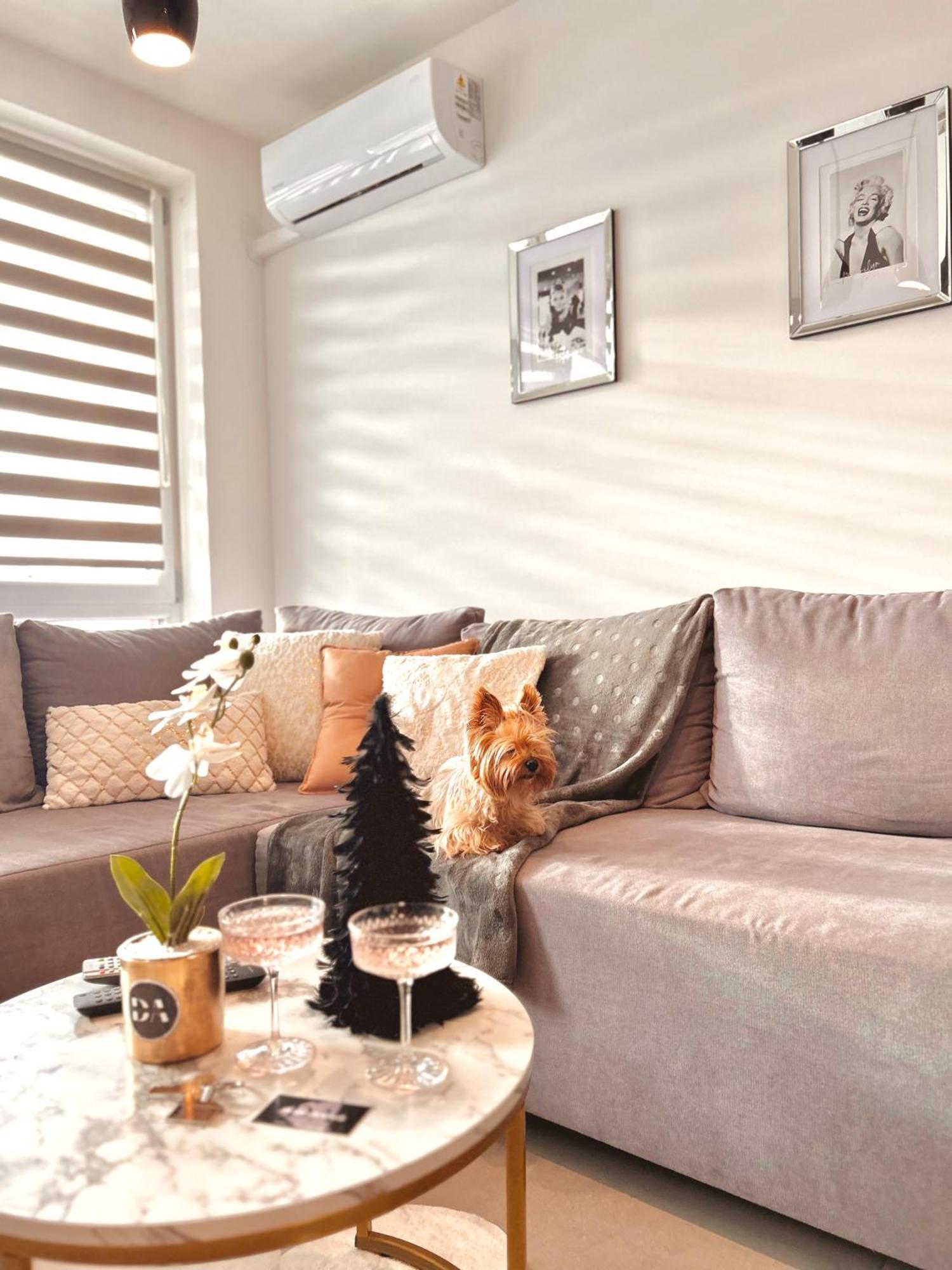 Downtown Apartments Family&Friends Rzeszow Bagian luar foto