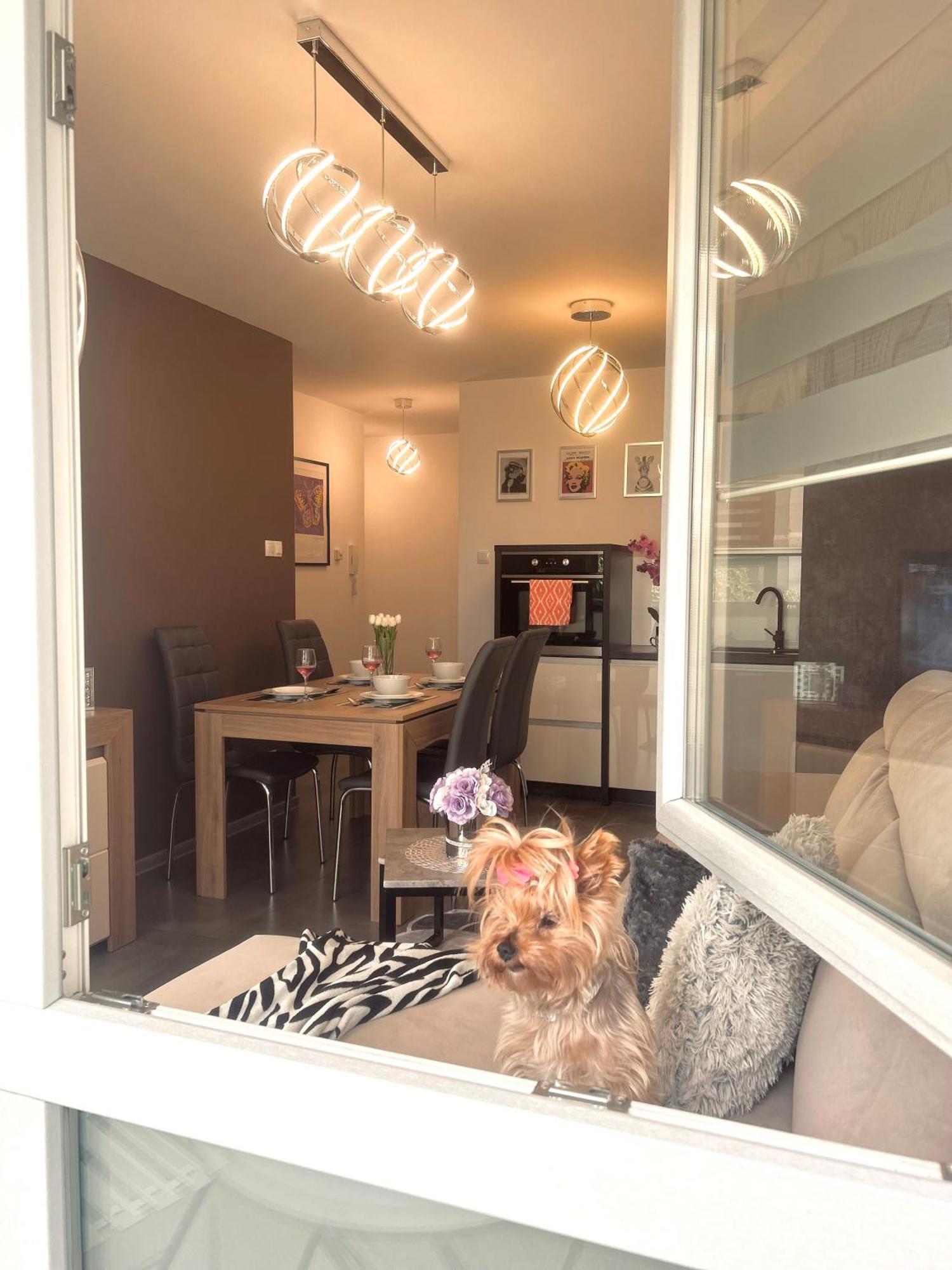 Downtown Apartments Family&Friends Rzeszow Bagian luar foto